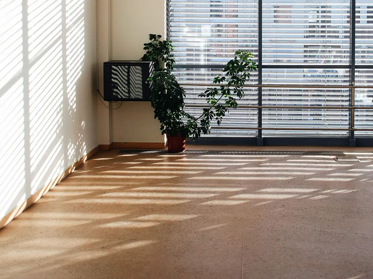 Leerer, sonniger Büroraum mit Fensterfront, Lamellenjalousien, einer Zimmerpflanze und Lichtstreifen auf dem Boden