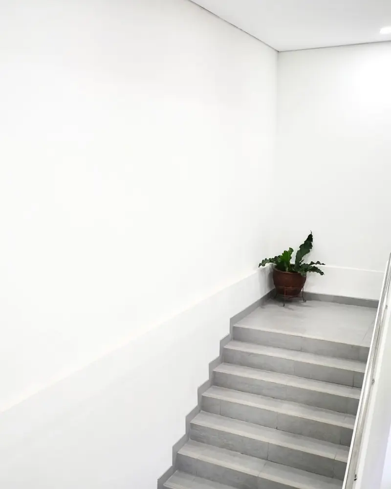 Weiß gestrichenes Treppenhaus mit grauen Stufen und einer Pflanze auf dem Absatz